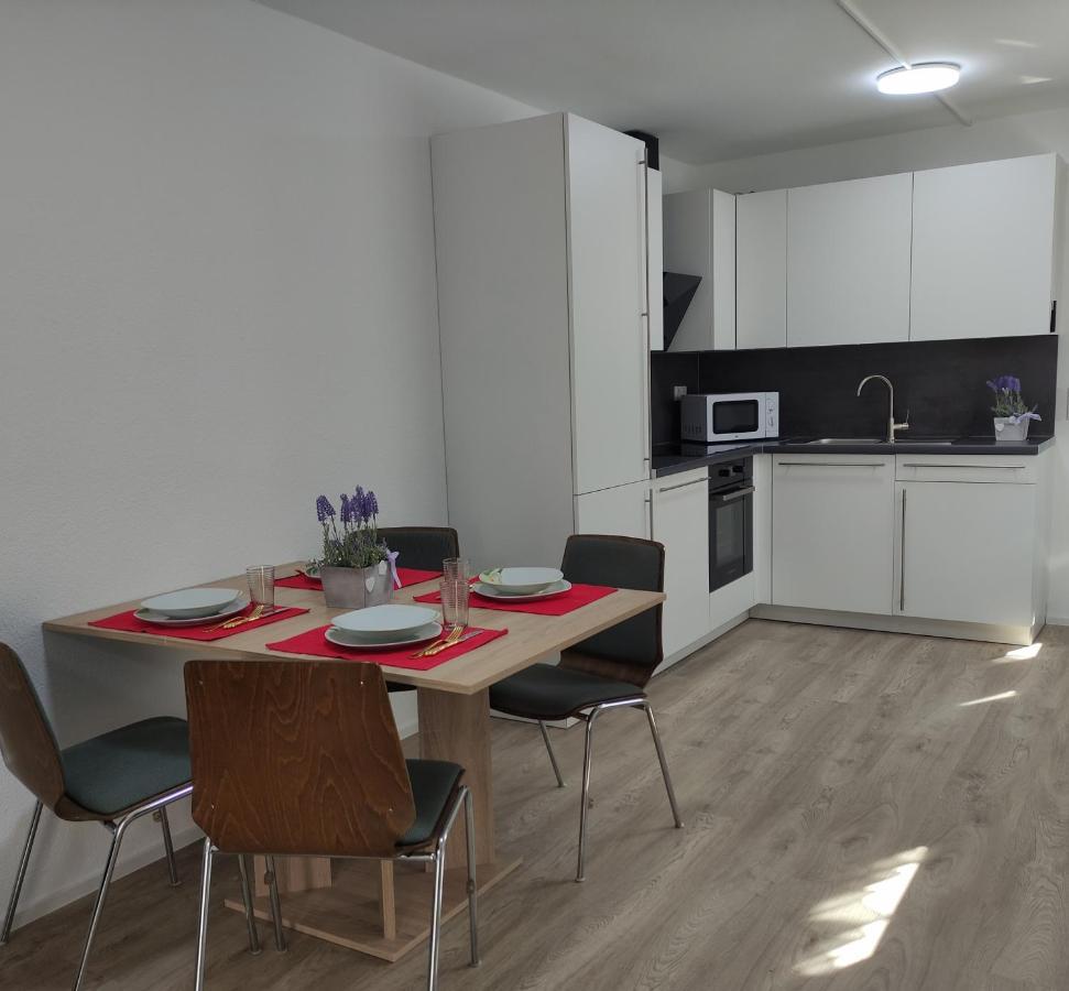 2 Zimmerwohnung in Bietingen Gottmadingen Exterior foto